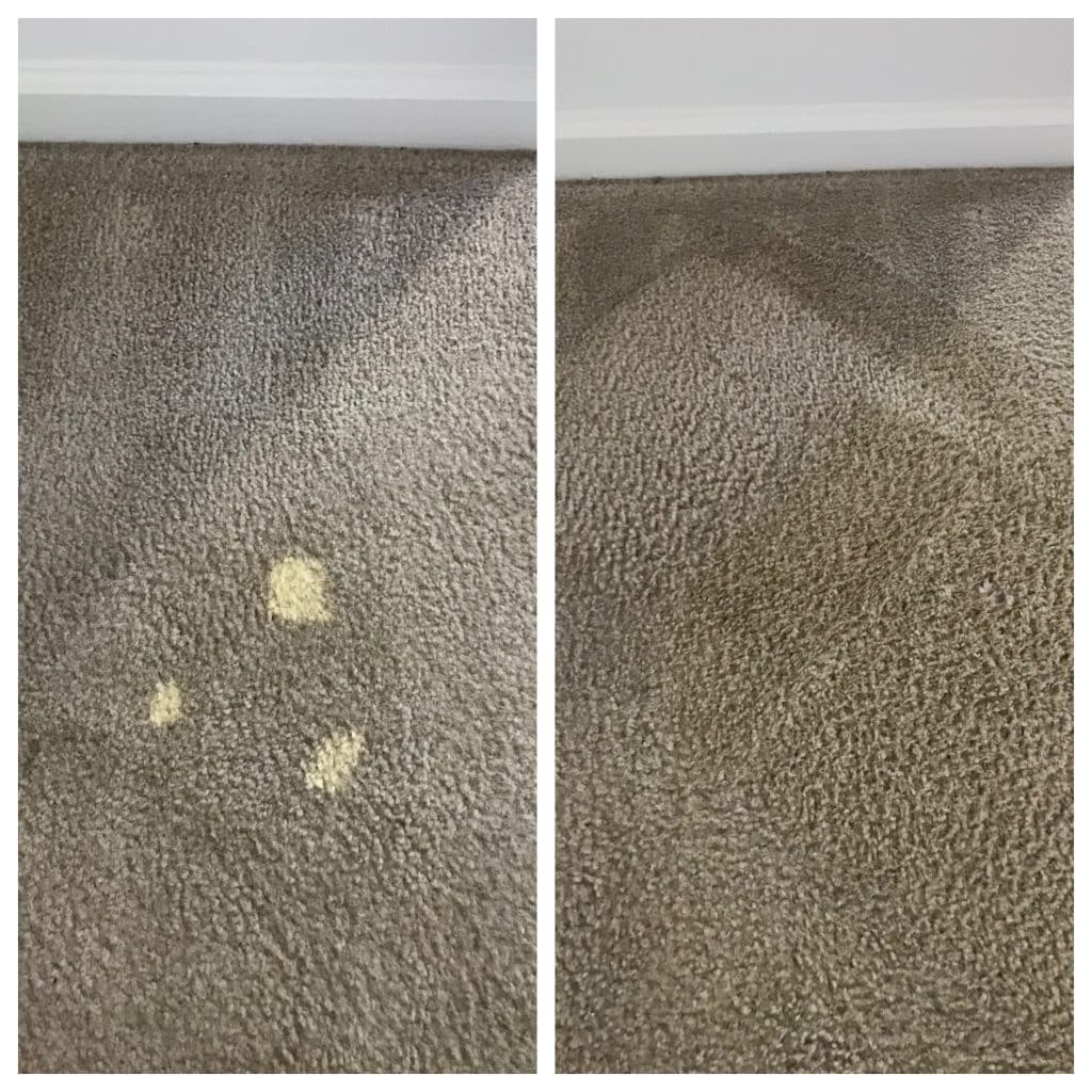 Before & After of Bleached Carpet Repair